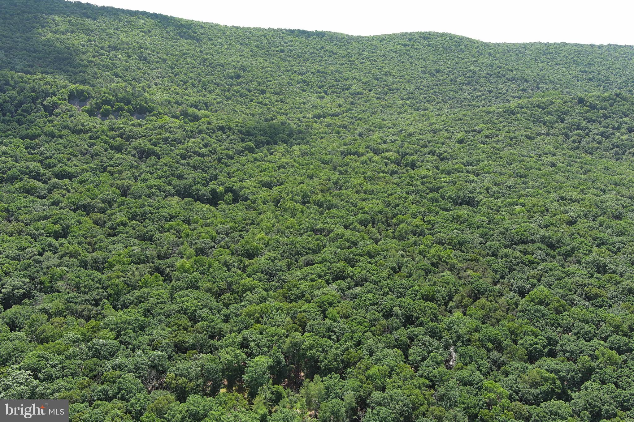 COVE MOUNTAIN ESTATES - Land