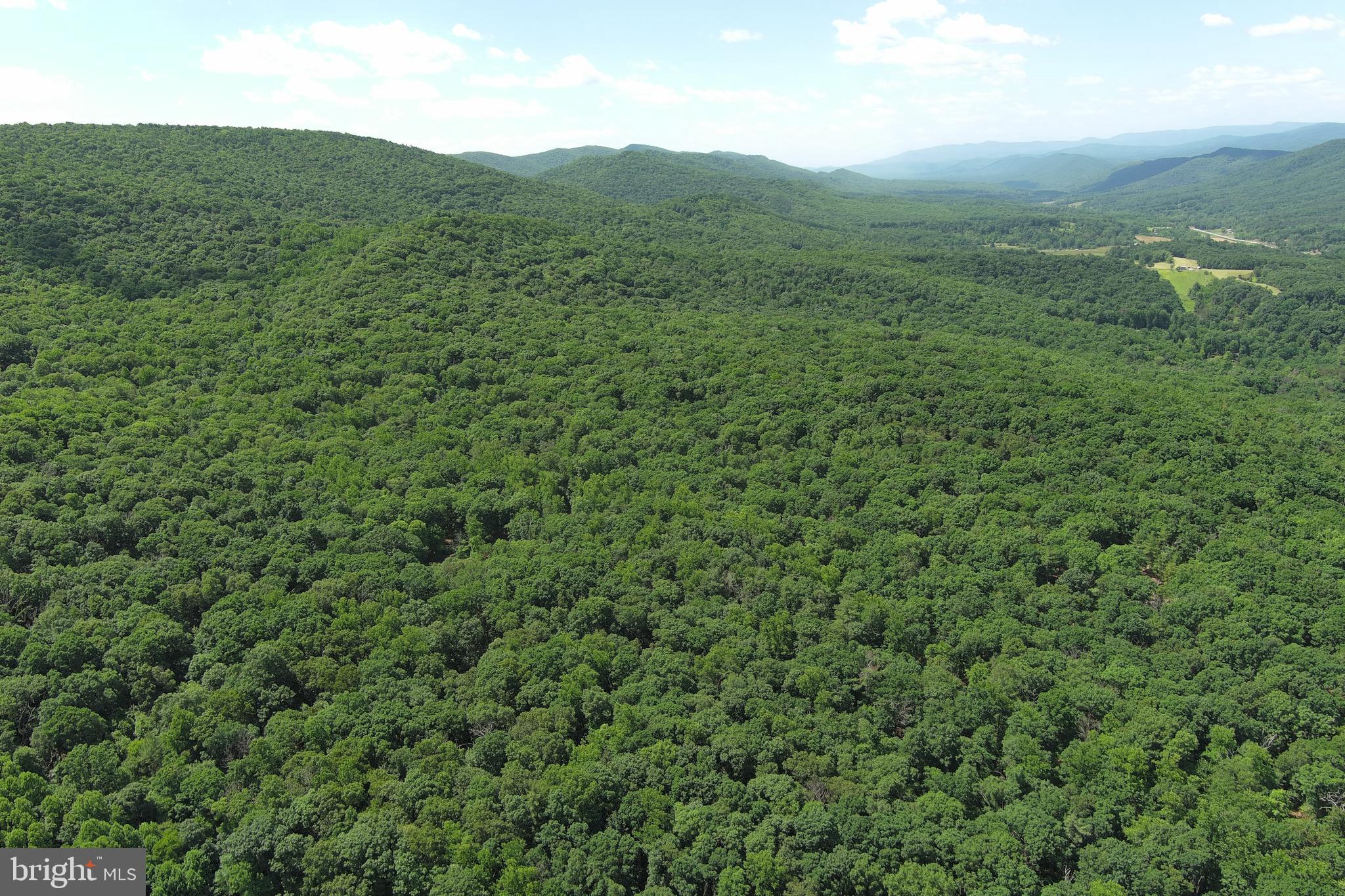 COVE MOUNTAIN ESTATES - Land