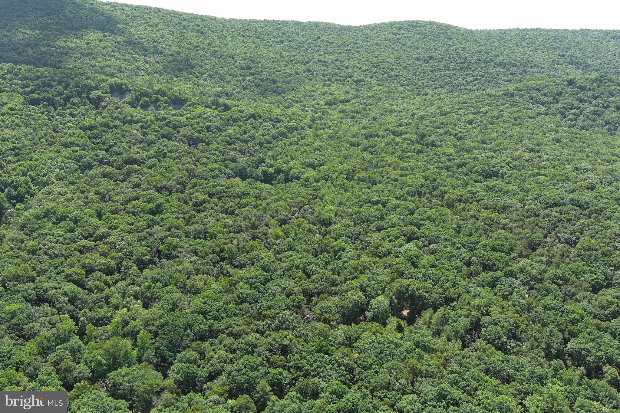 COVE MOUNTAIN ESTATES - Land