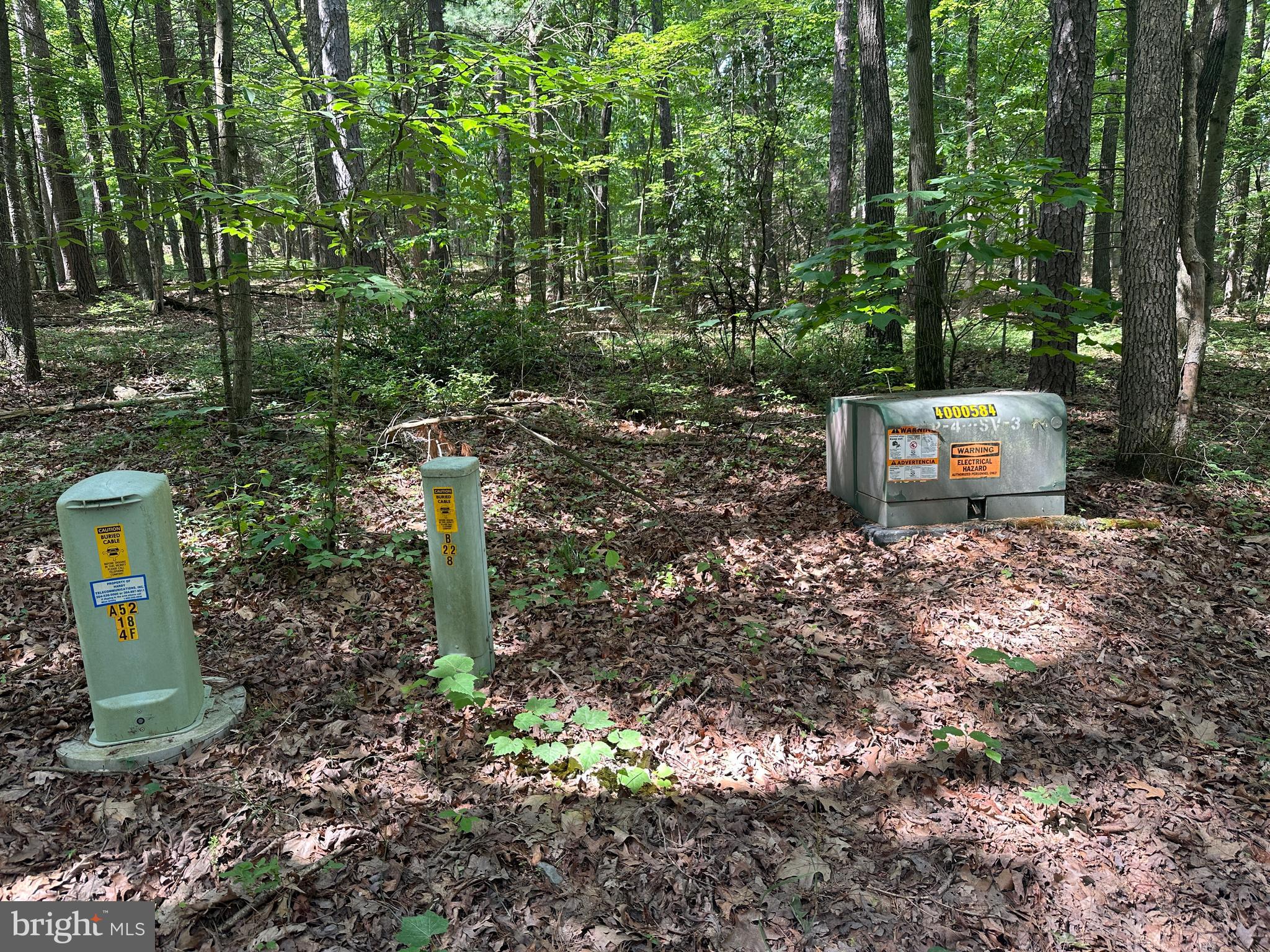 COVE MOUNTAIN ESTATES - Land