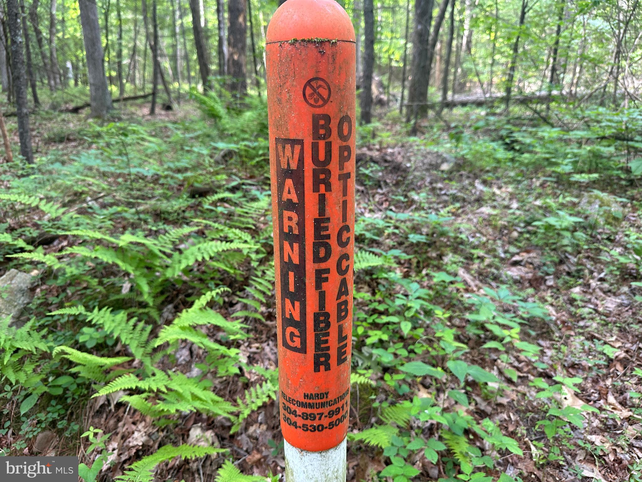 COVE MOUNTAIN ESTATES - Land