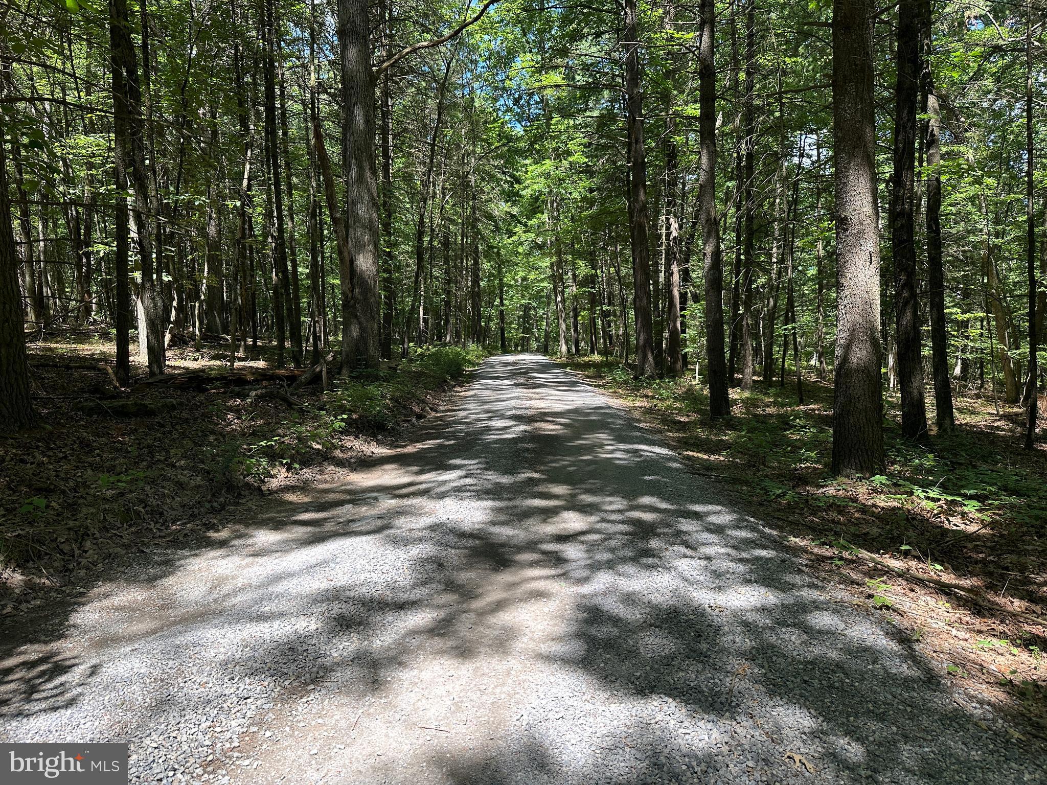 COVE MOUNTAIN ESTATES - Land