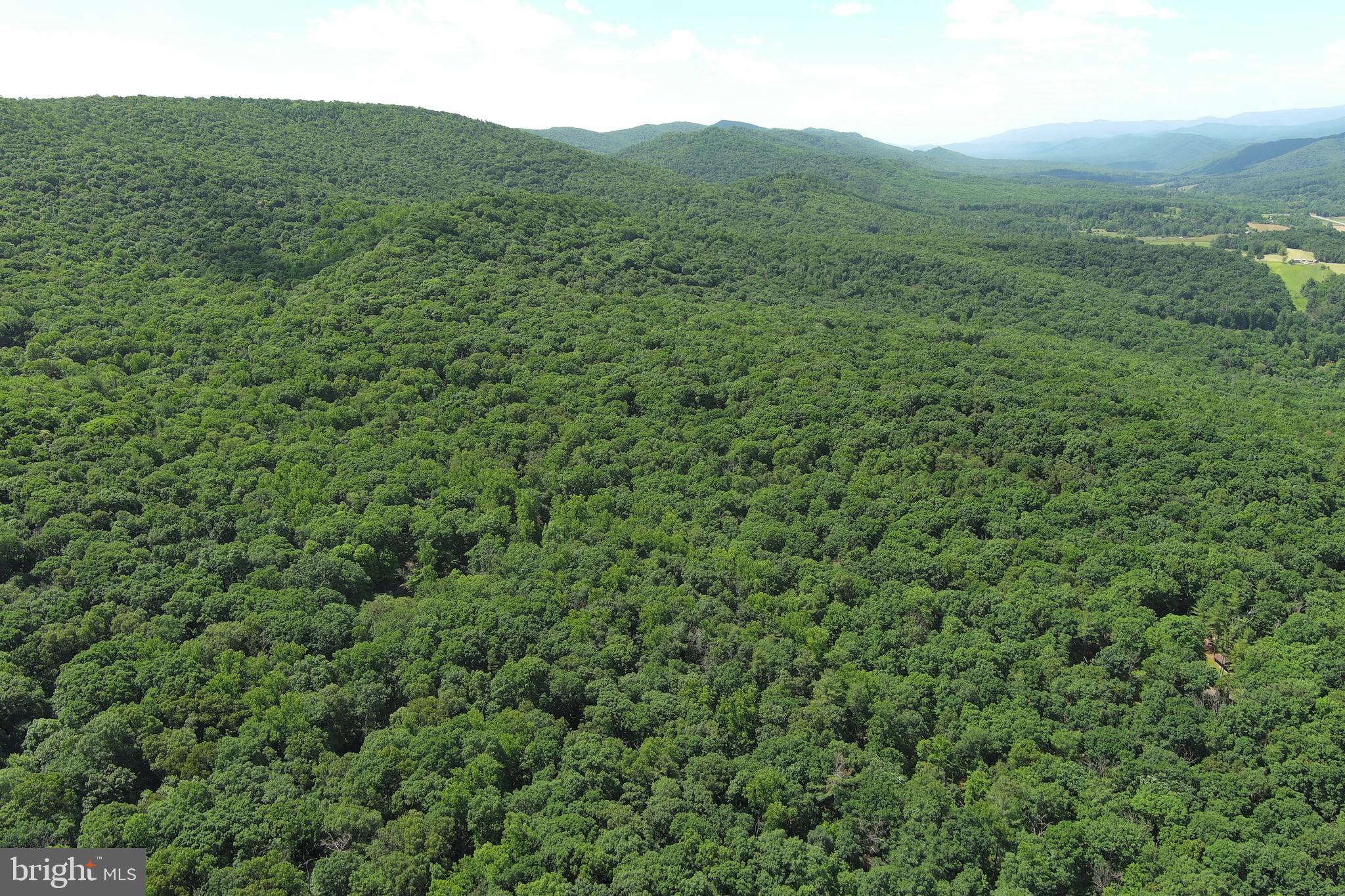 COVE MOUNTAIN ESTATES - Land