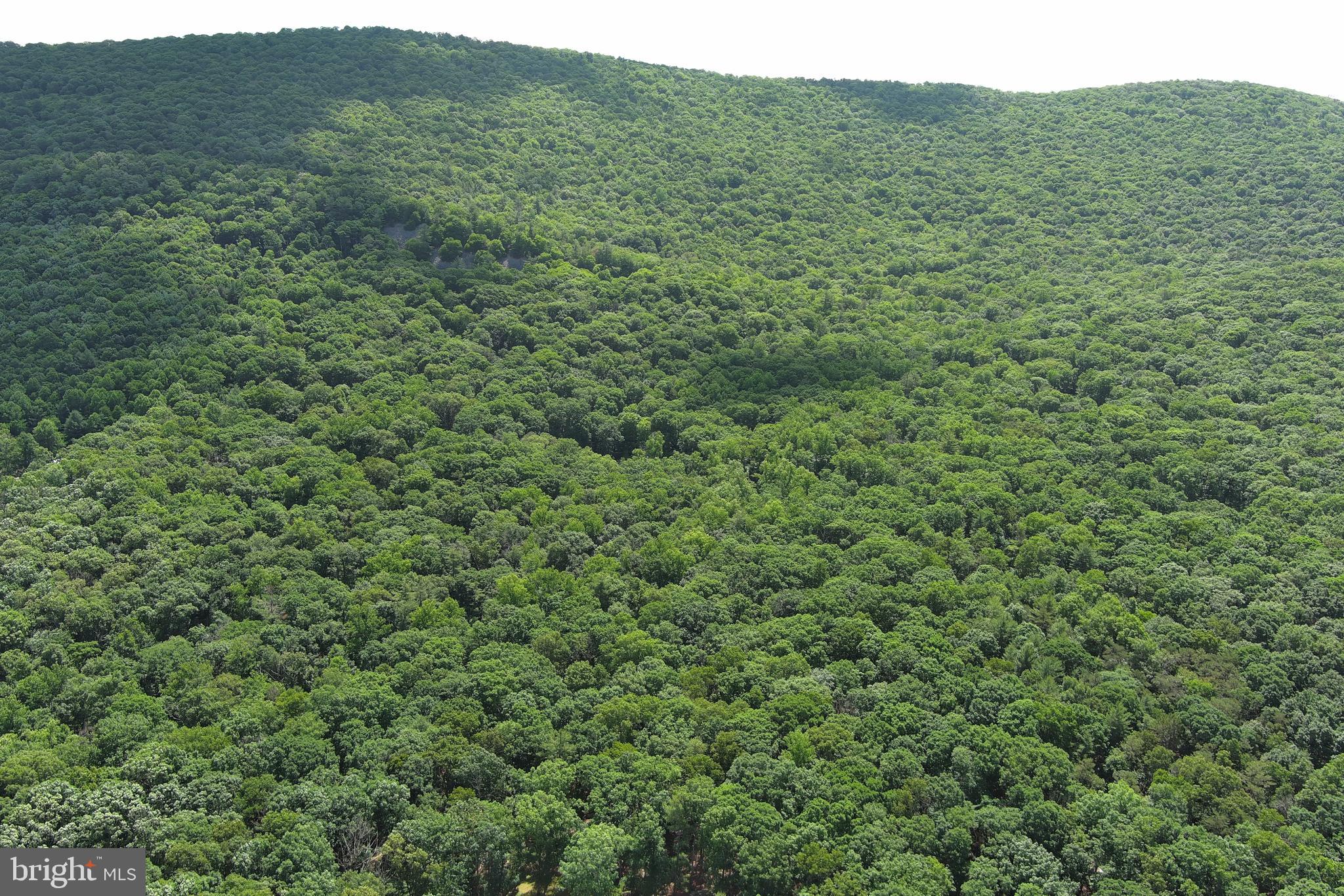 COVE MOUNTAIN ESTATES - Land