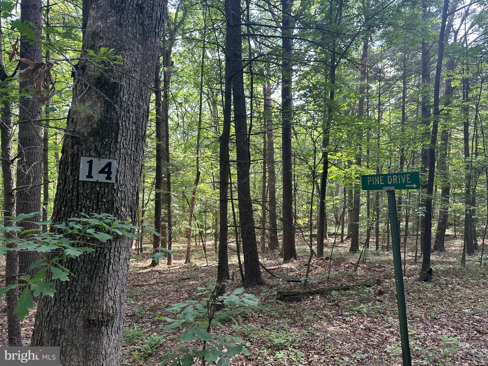 COVE MOUNTAIN ESTATES - Land