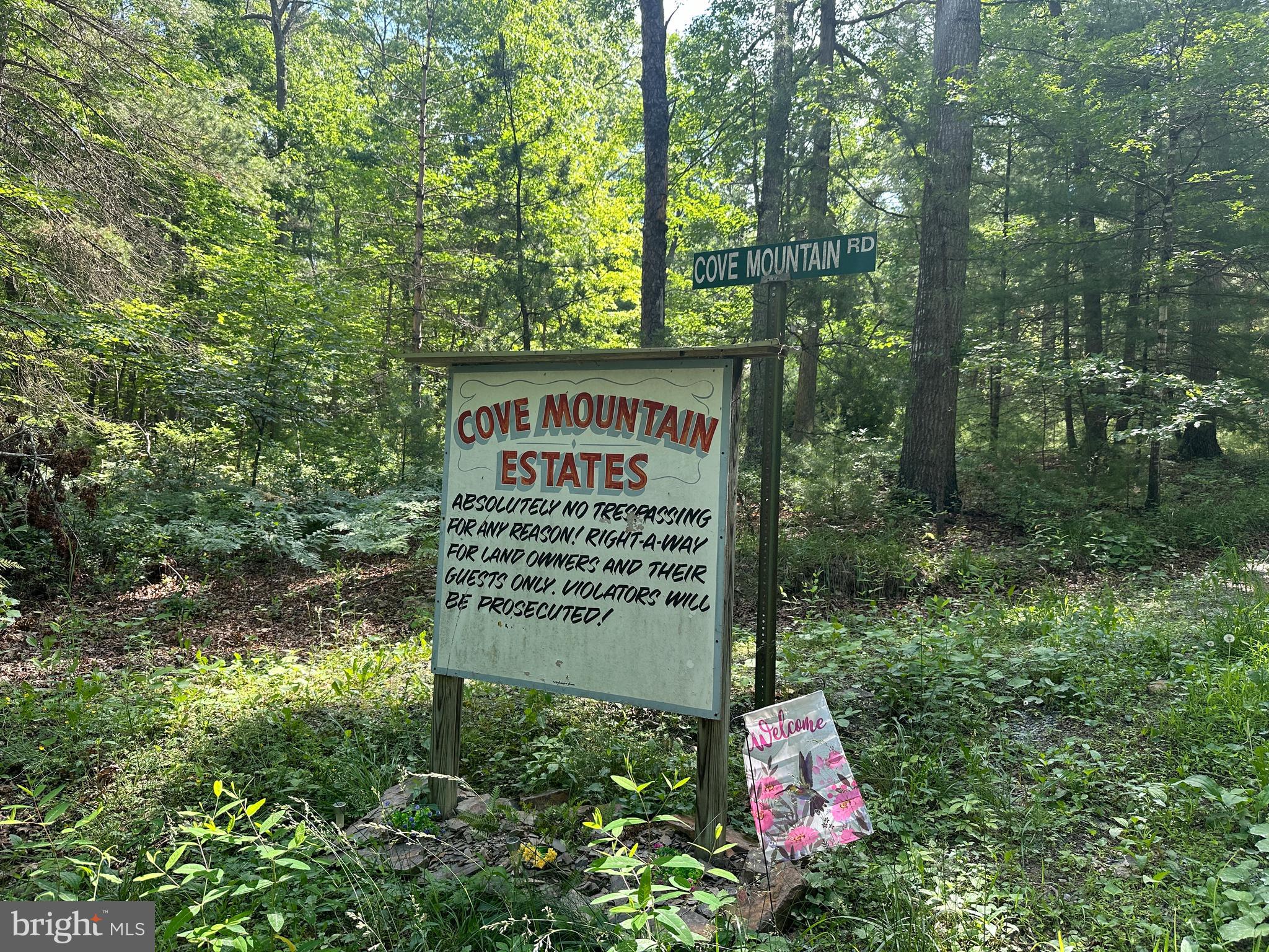 COVE MOUNTAIN ESTATES - Land