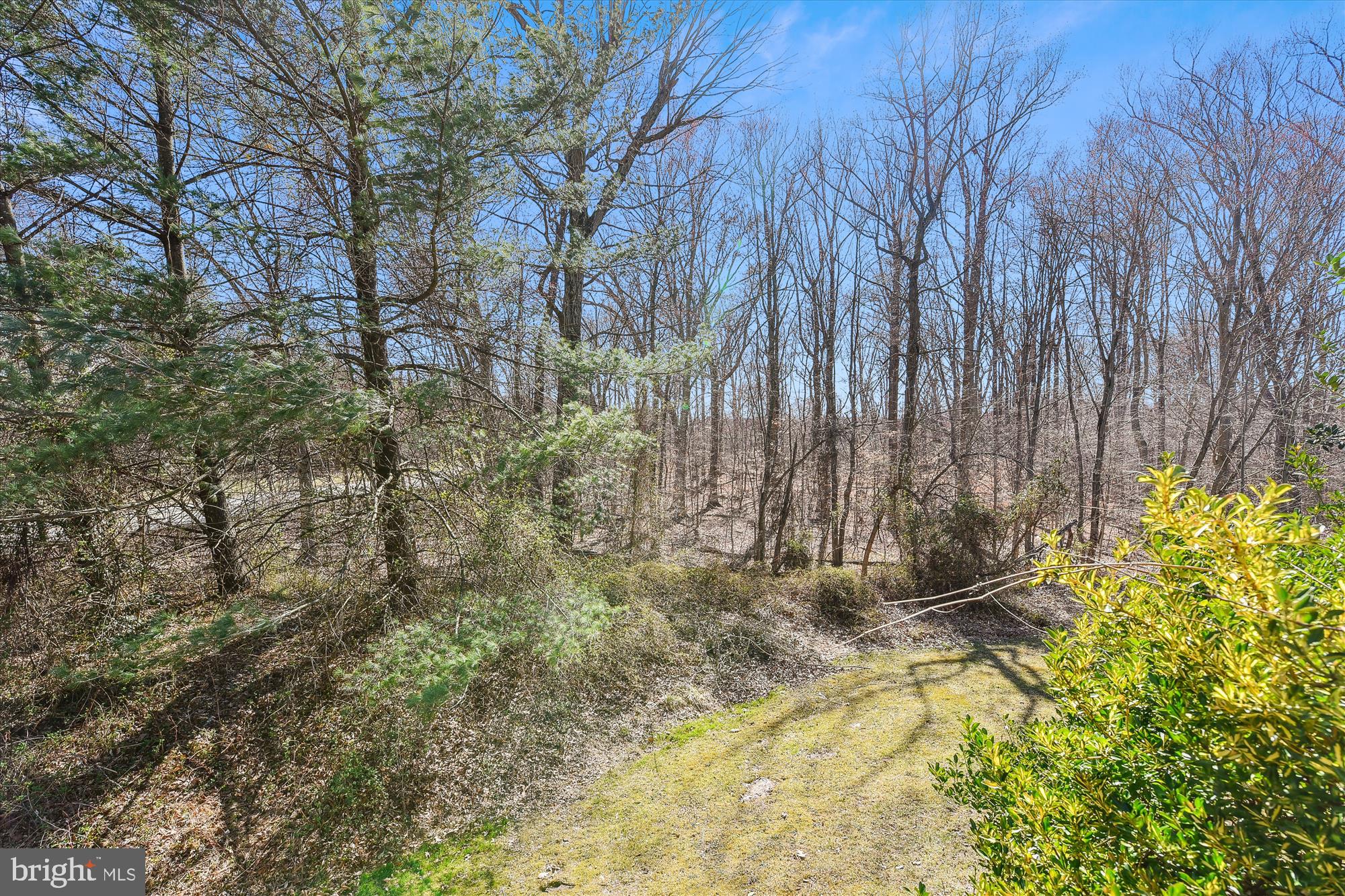 VILLAGE OF THOMAS RUN - Residential