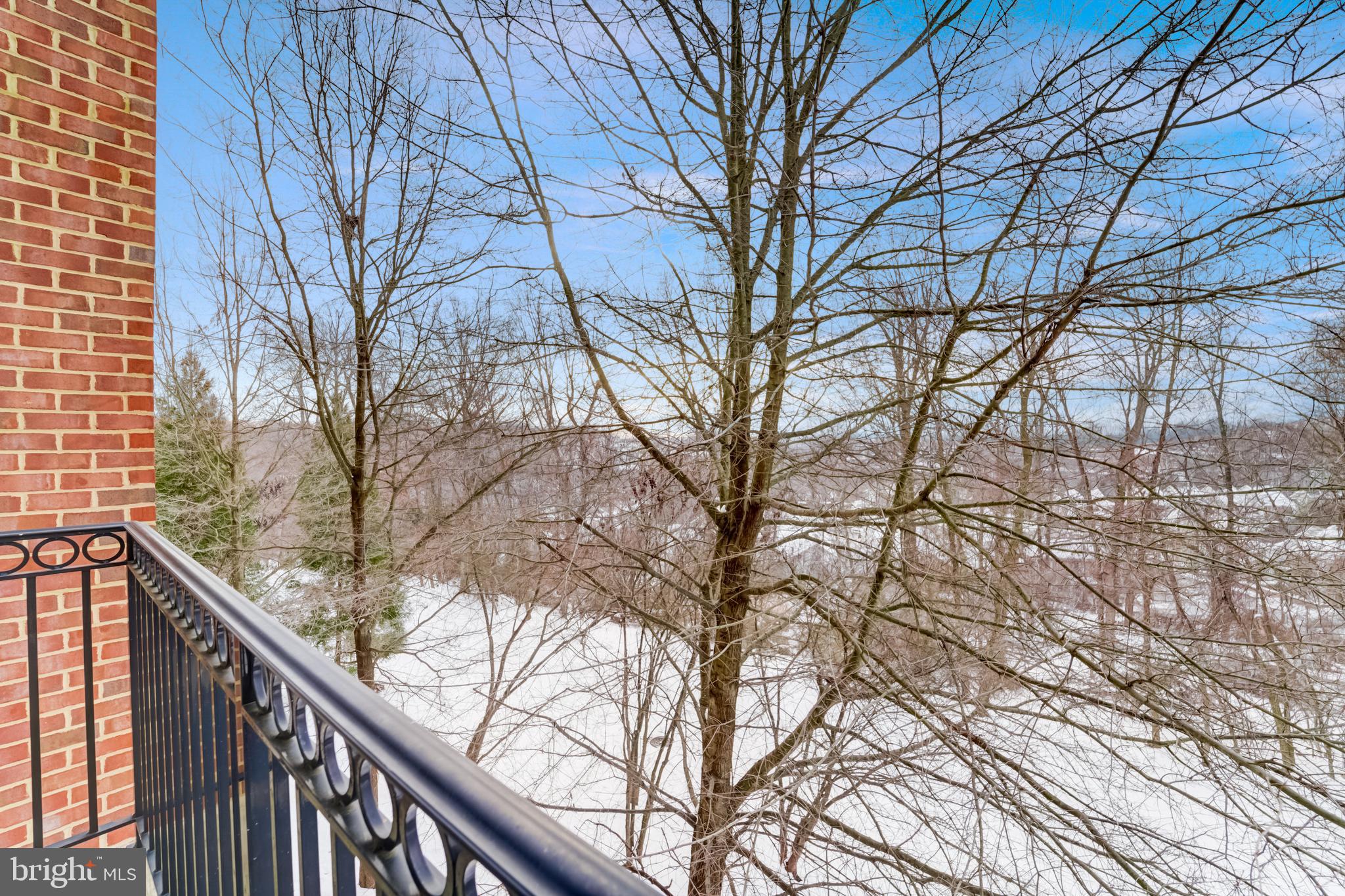 ENCLAVE AT ELLICOTT HILLS - Residential