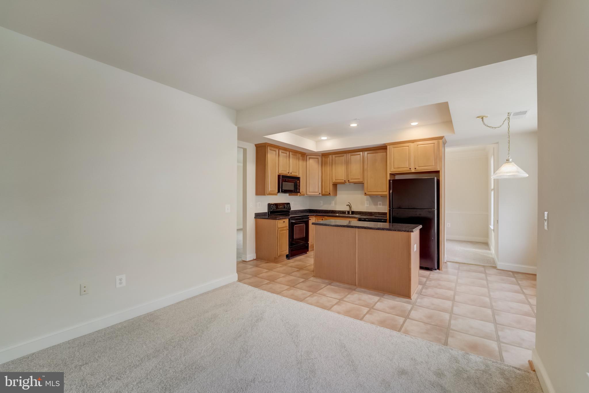 ENCLAVE AT ELLICOTT HILLS - Residential