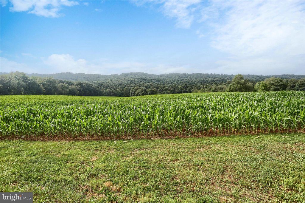 Photo of 00 Horse Valley Road, EAST WATERFORD, PA 17021 (MLS # PAPY2008436)