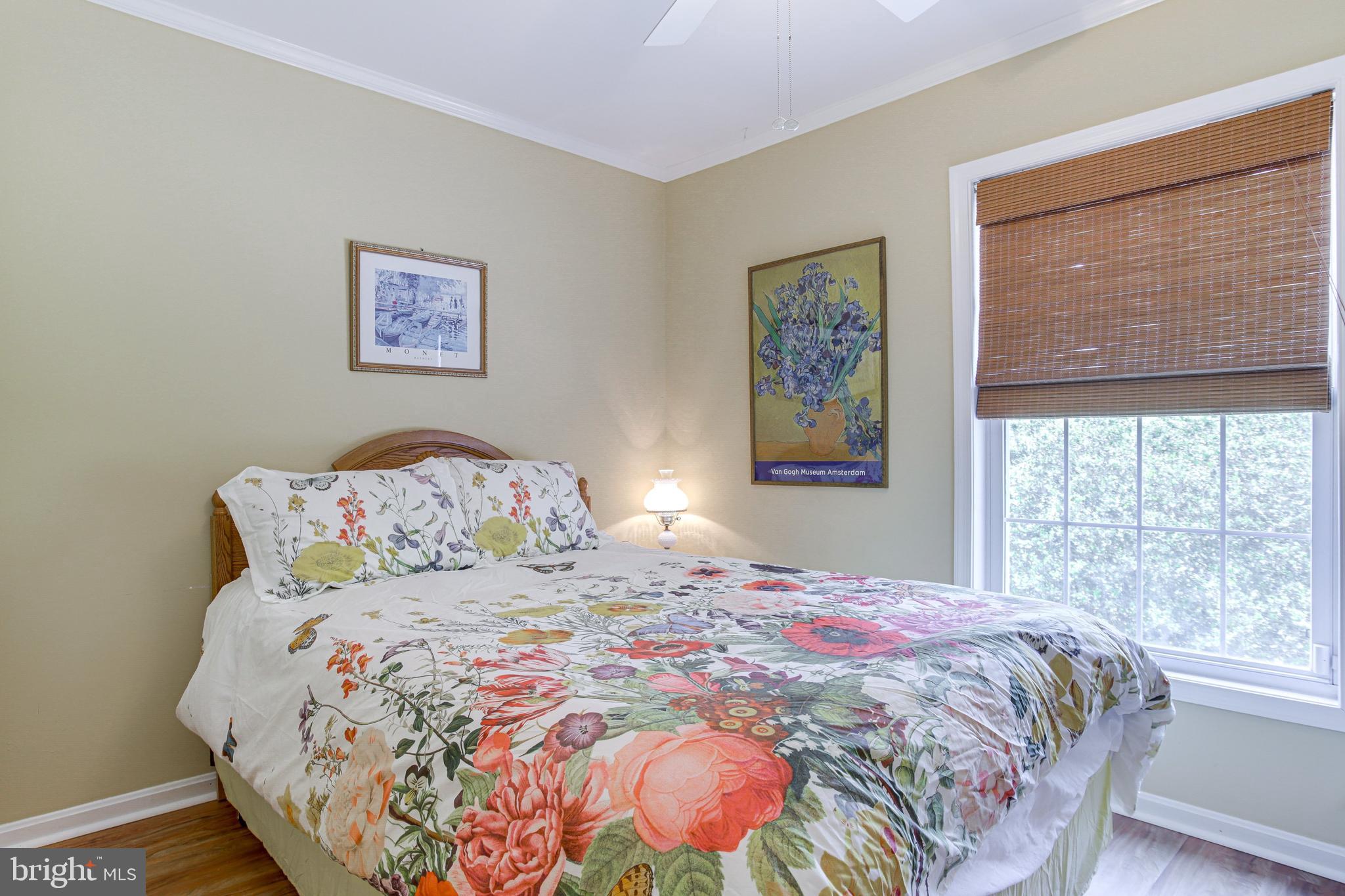 BETHANY MEADOWS - Residential