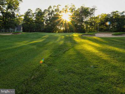 LAKE OF THE WOODS - Residential