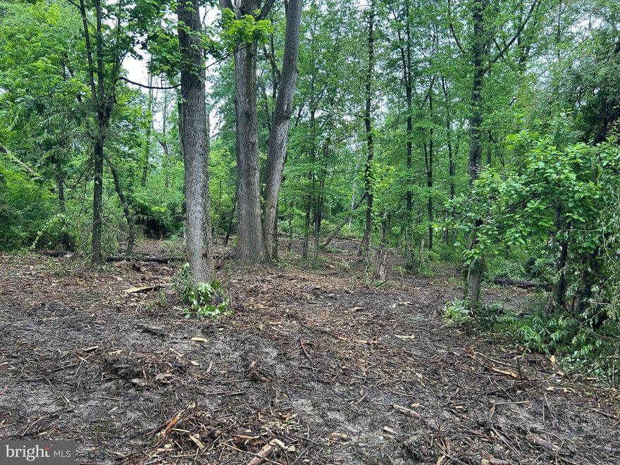 Land is so limited these days, especially parcels in Oley  Schools! Build you dream home of choice on this fabulous piece of land surrounded by nature. With the price of existing homes and low inventory, building a new home is very achievable. This lot is NOT tied in with an exclusive builder, but Welbilt Homes, a local builder with 39-years of experience is here to help with this property.
The lot is accessible to public sewer and is over 1-acre. There is a partially cleared entrance near Real estate sign. Feel free to pull off in that general area, walk the lot at your convenience. 
 Call today, this one will go quick!