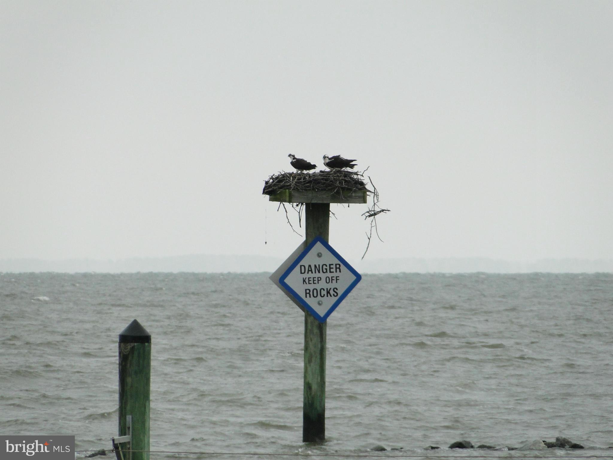 SUMMER CITY - Residential Lease