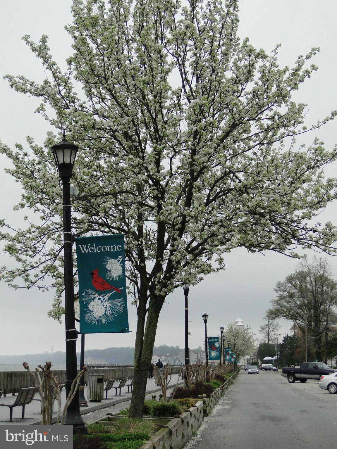 SUMMER CITY - Residential Lease