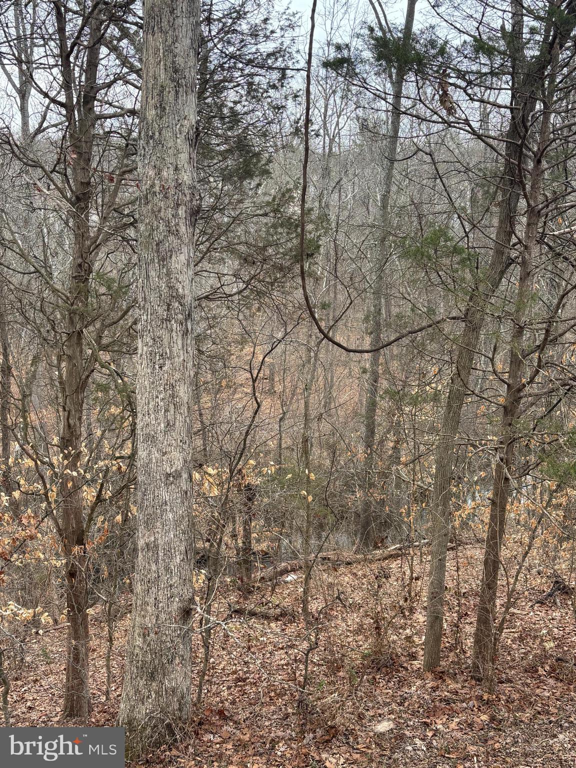 COMPTON VALLEY ESTATES - Residential Lease