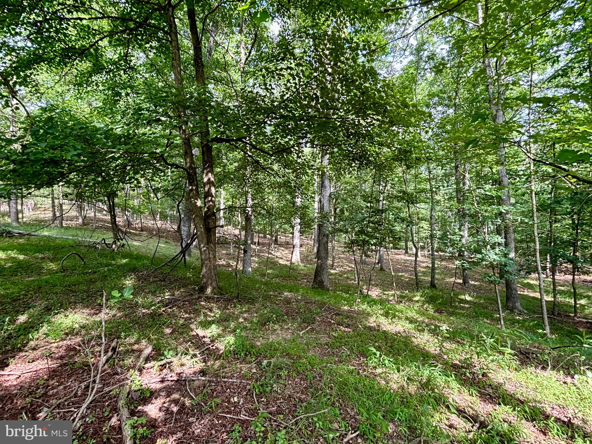 SLEEPY CREEK MOUNTAIN RETREAT - Residential