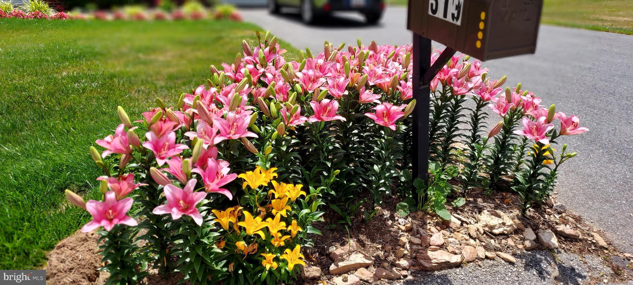 MAPLE CREST - Residential