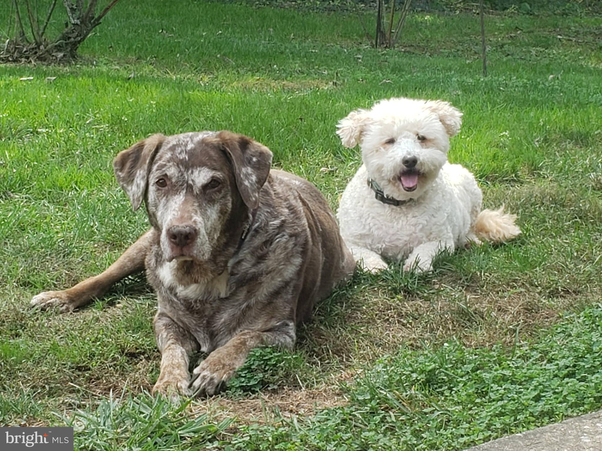 MAPLE CREST - Residential