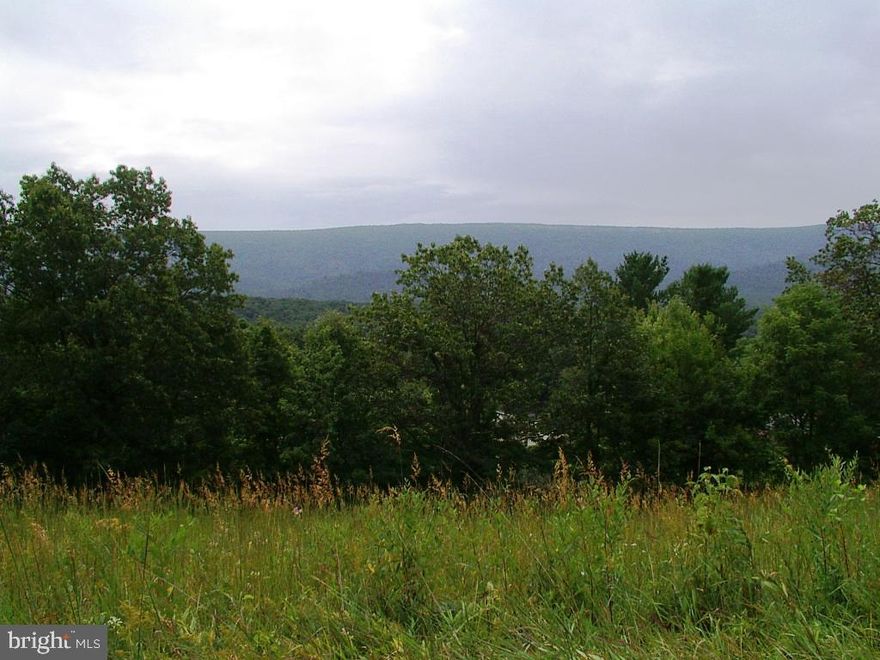 Now is the time to see this lovely lot. Beautiful, two road frontage, 1.42 acre lot with mountain views! This lot is perked. Mostly cleared with some trees.