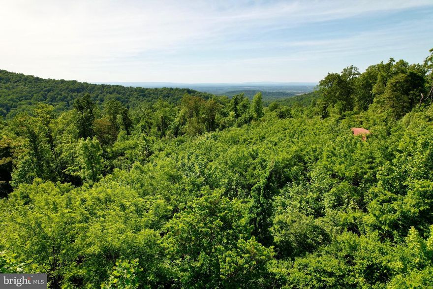 The beauty of this non-HOA property in northern Virginia's wine country is undeniable, offering a blend of tranquility and accessibility.  Close to the Appalachian Trail,  this 3.88-acre lot offers a unique opportunity to enjoy scenic views of the Shenandoah Valley, amazing sunsets, and the natural beauty of Clarke County and Loudoun County, Virginia.  The property's strategic location between Route 50 and Route 7 offers easy travel to local towns and amenities while remaining a scenic retreat among the Blue Ridge Mountains. 

The property includes one dwelling unit right (DUR) and is administered under Clarke County's Forestal, Open Space and Conservation (FOC) zoning. The current owner paid to bring power to the lot in a manner that does not block the property's scenic viewsheds (above ground along the private drive, then underground near and through the property). The Virginia Department of Health has approved the lot for a conventional septic field to accommodate a 3 bedroom dwelling unit. Mature trees within planned build area of the lot were previously logged resulting in immature regrowth to prevent erosion until the new owner is ready to build. This will reduce the time and cost of clearing for construction. 

The following residential, commercial, and agricultural uses are allowed by-right under existing zoning: primary dwelling, minor dwelling, tenant house, accessory structure, short-term residential rental (in compliance with STRR Ordinance), non-residential building, home occupation, agricultural building, agriculture, farm winery/brewery/distillery, forestry, livestock/dairy/poultry, fruit and vegetable processing and sale of agricultural products. Note: Buyer is encouraged to verify the accuracy of allowable uses by confirming with Clarke County government.

Disclosure: Please note that the seller is a member of the listing real estate agent's immediate family.