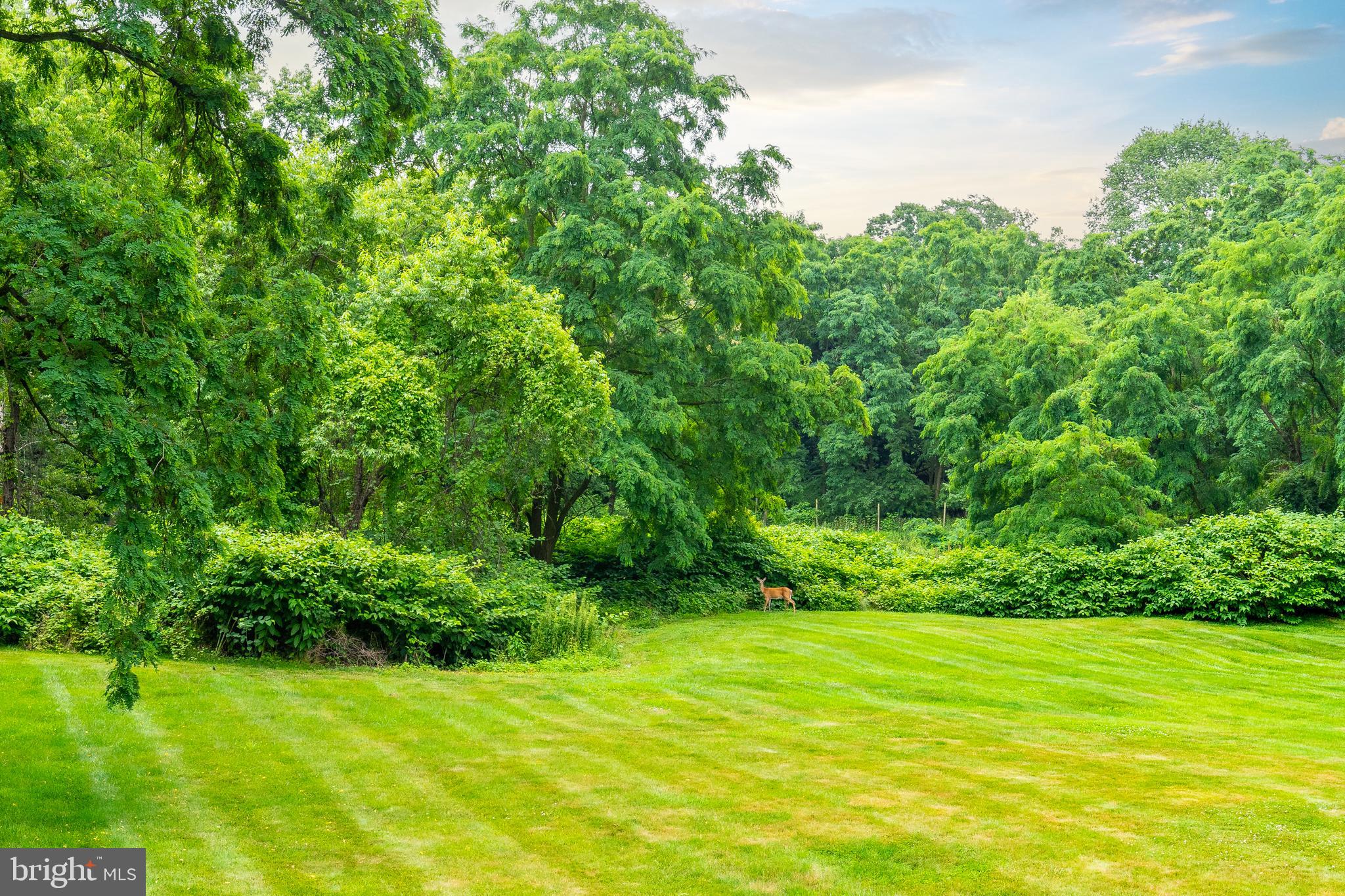 FOX CHASE - Residential