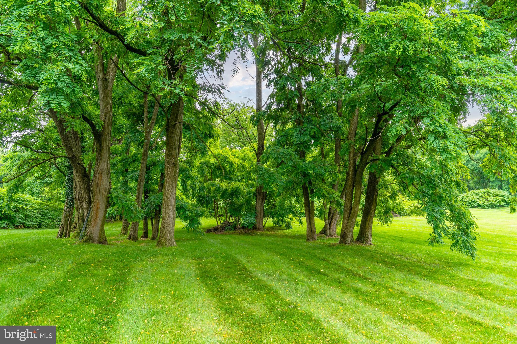 FOX CHASE - Residential