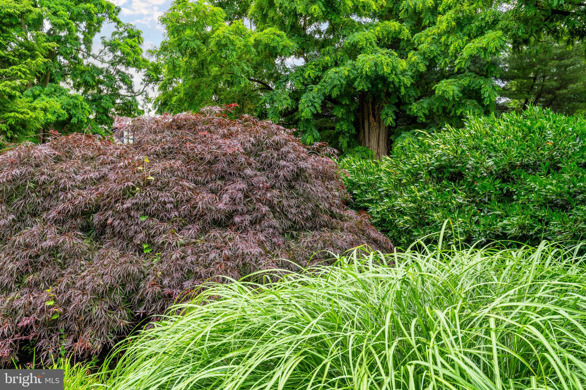 FOX CHASE - Residential