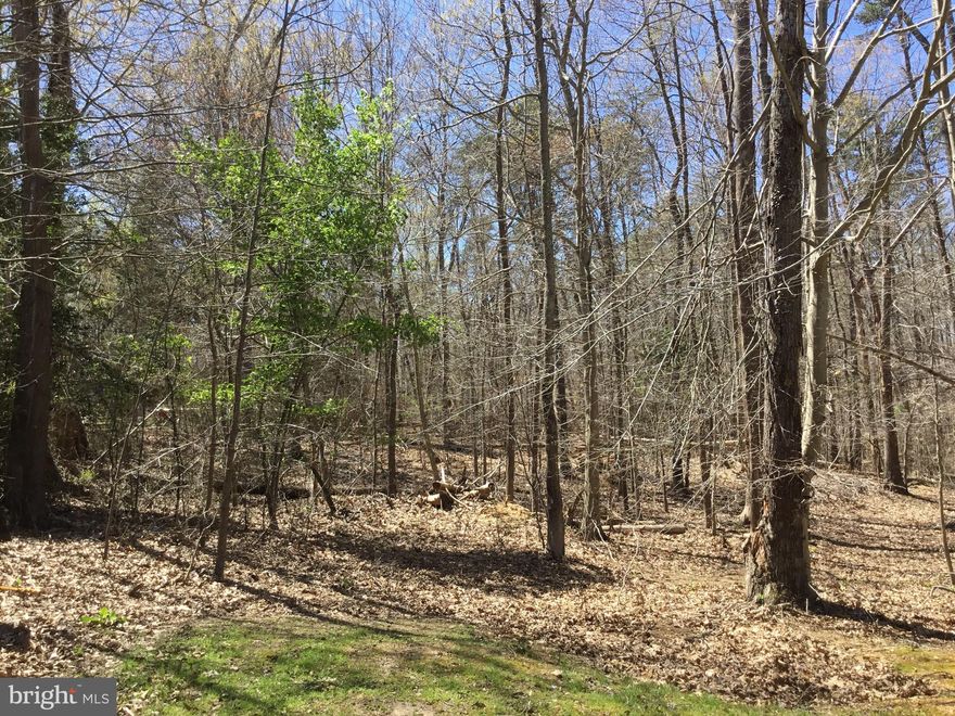 Desirable school district.  No covenants, building your dream home, additional lot adjoins this lot, buy both or  just 1, located off of Kentucky Ave with a beautiful country setting.  Cash or Conventional lot financing w/ lender that specializes in lot loans only. This price includes both lot 2 & 3 w/ just under 7 Acres, gorgeous wooded lots, back of lot has beautiful stream view,  bring your owner builder, horses welcome