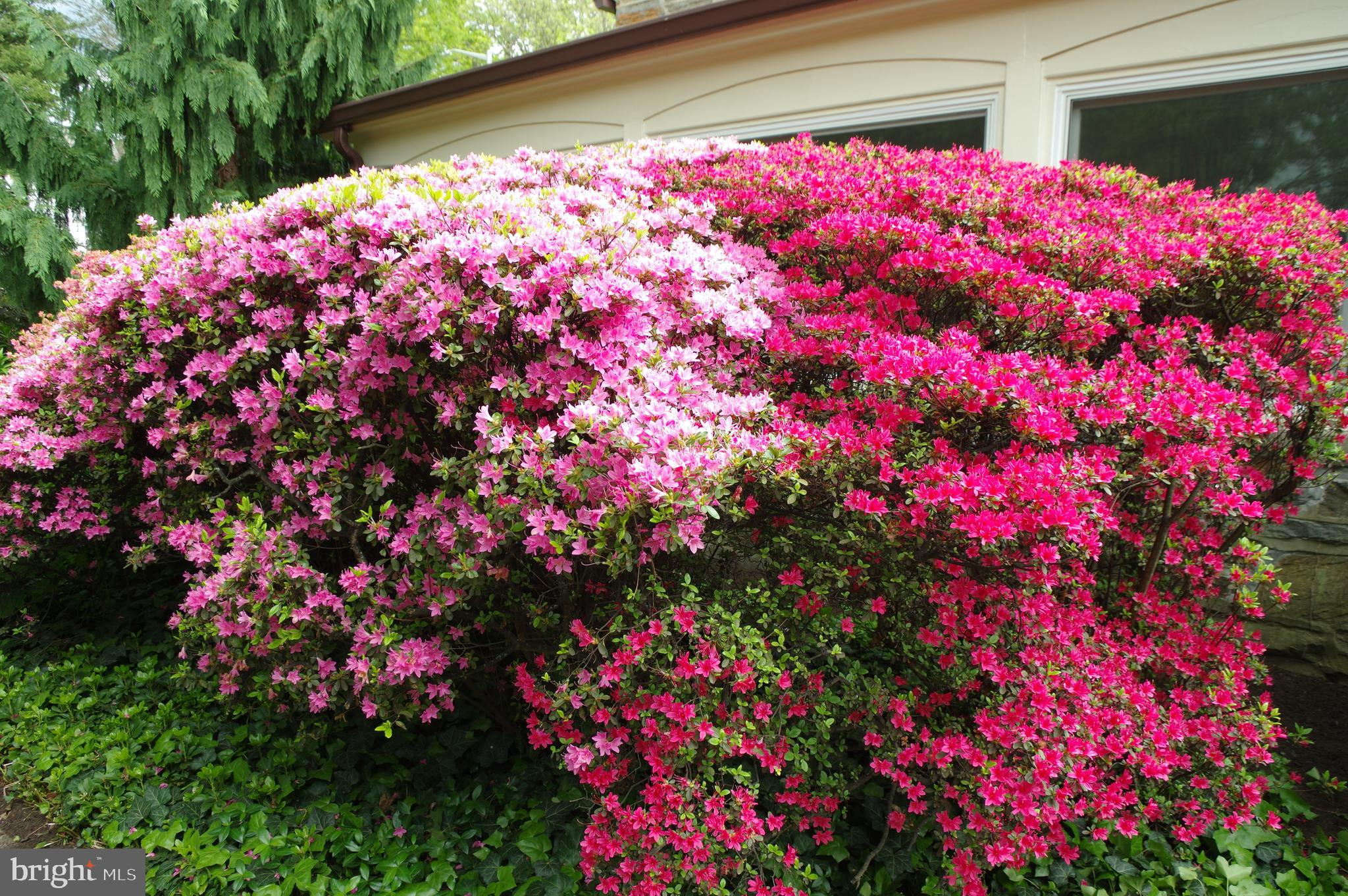 MERION STATION - Residential