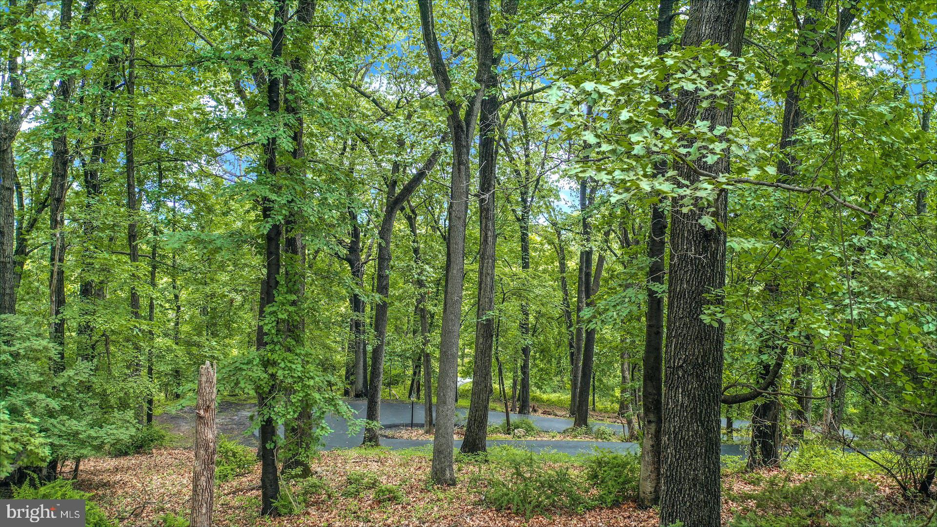 NONE  AVAILABLE - Residential