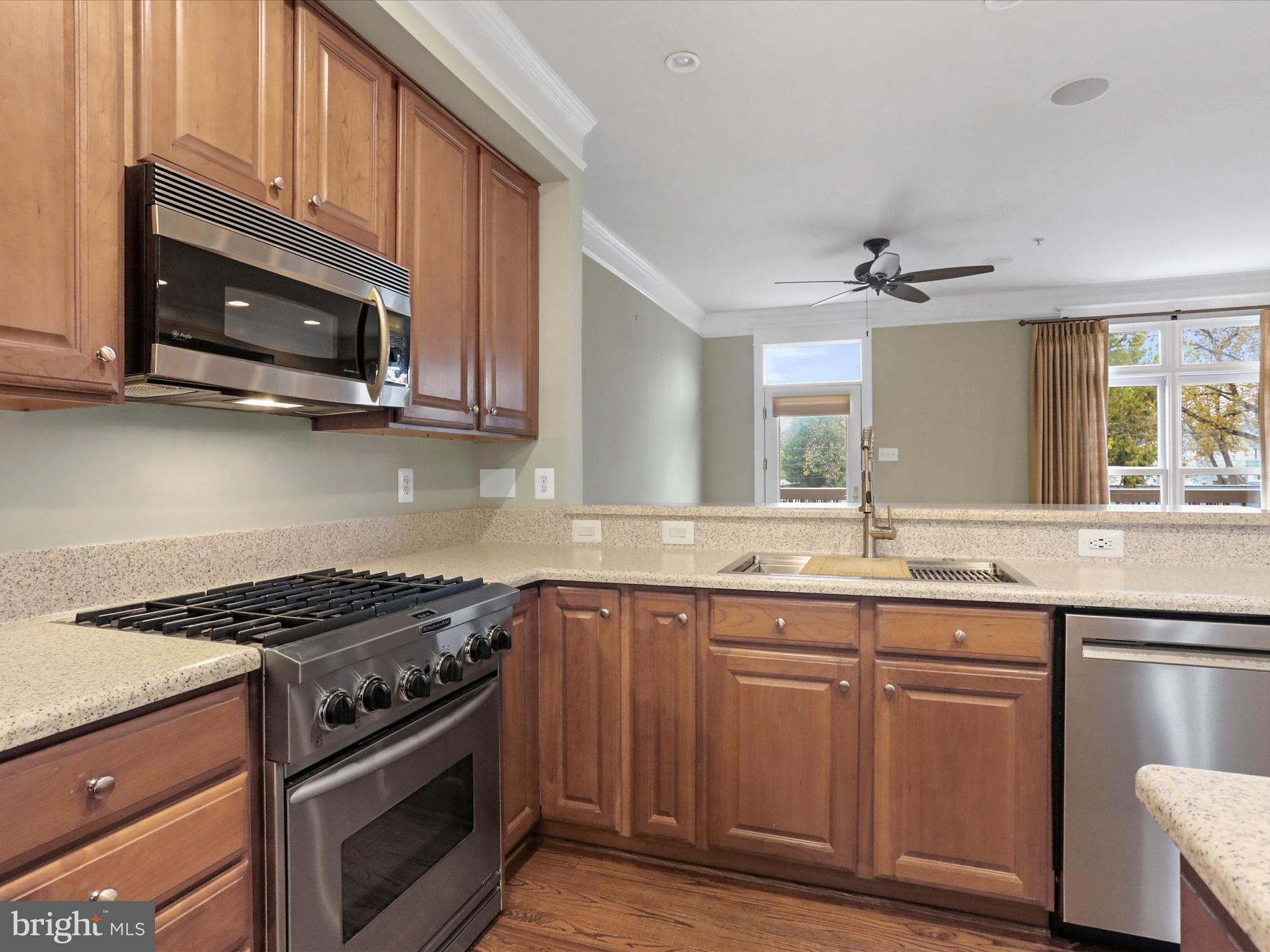 HISTORIC FREDERICK CITY - Residential