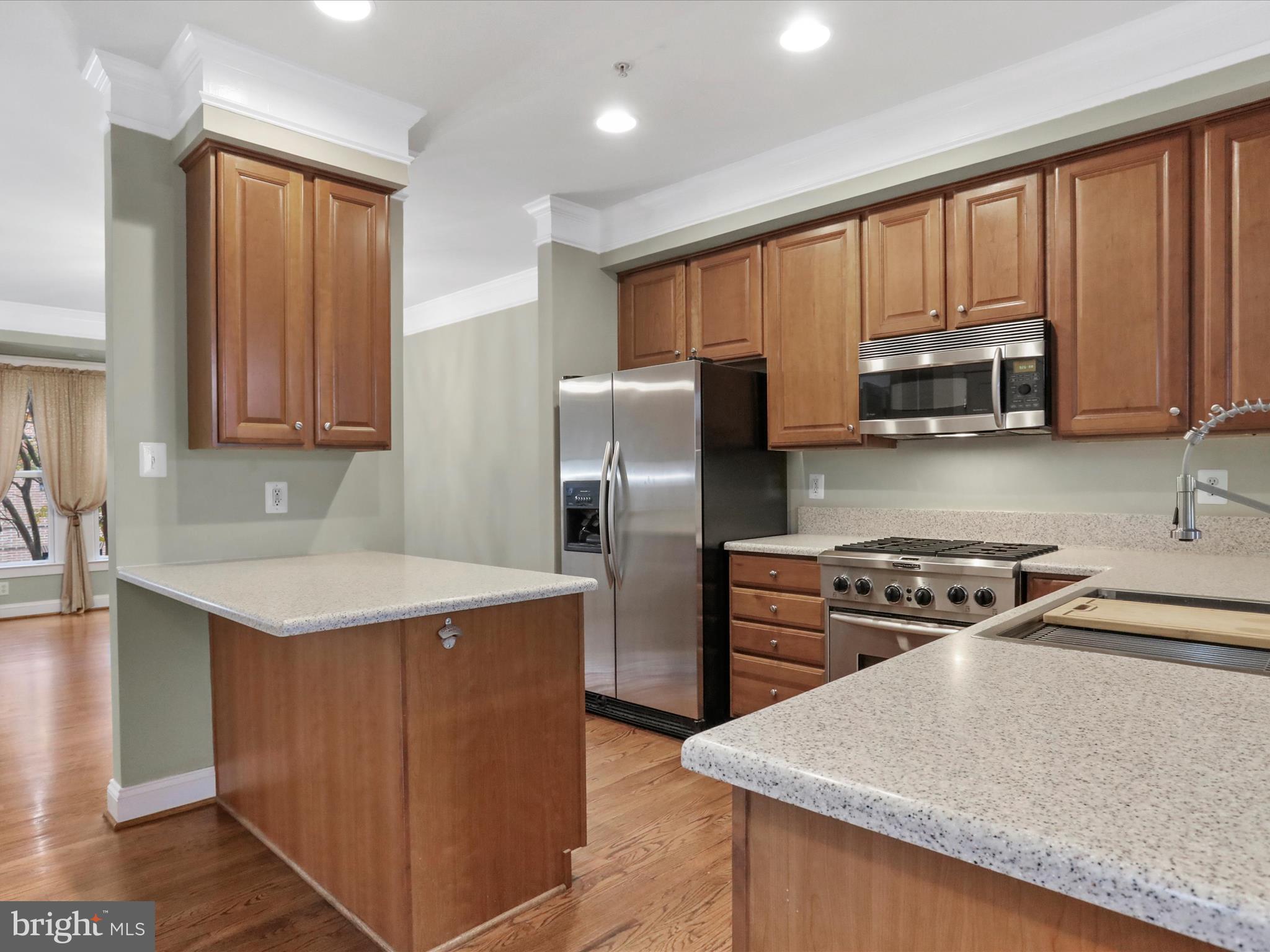 HISTORIC FREDERICK CITY - Residential