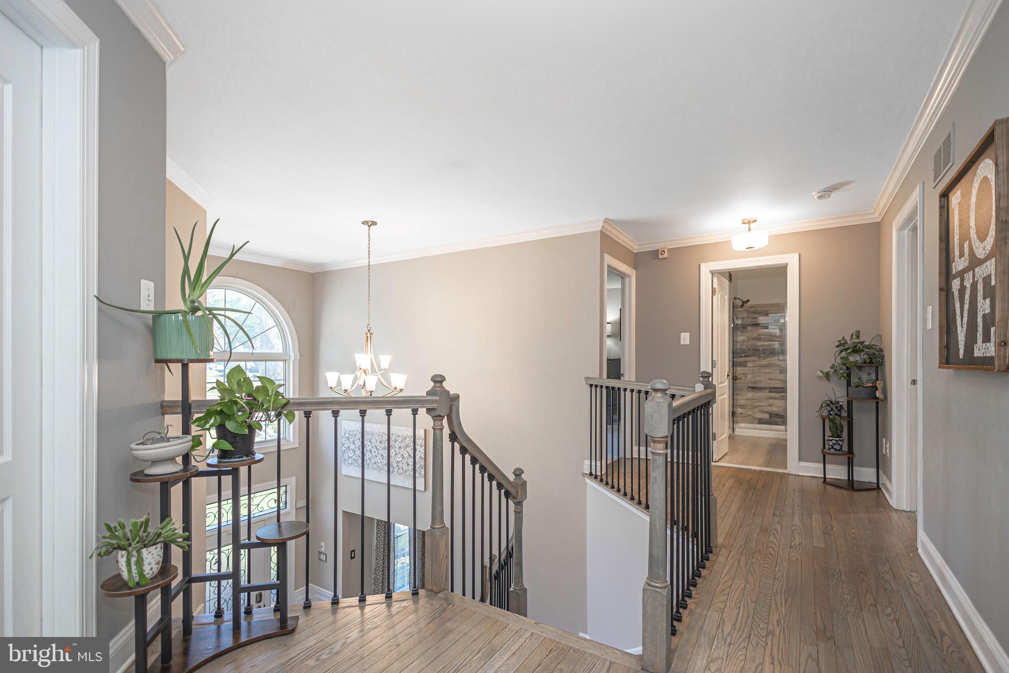 NEWTOWN MEADOWS - Residential