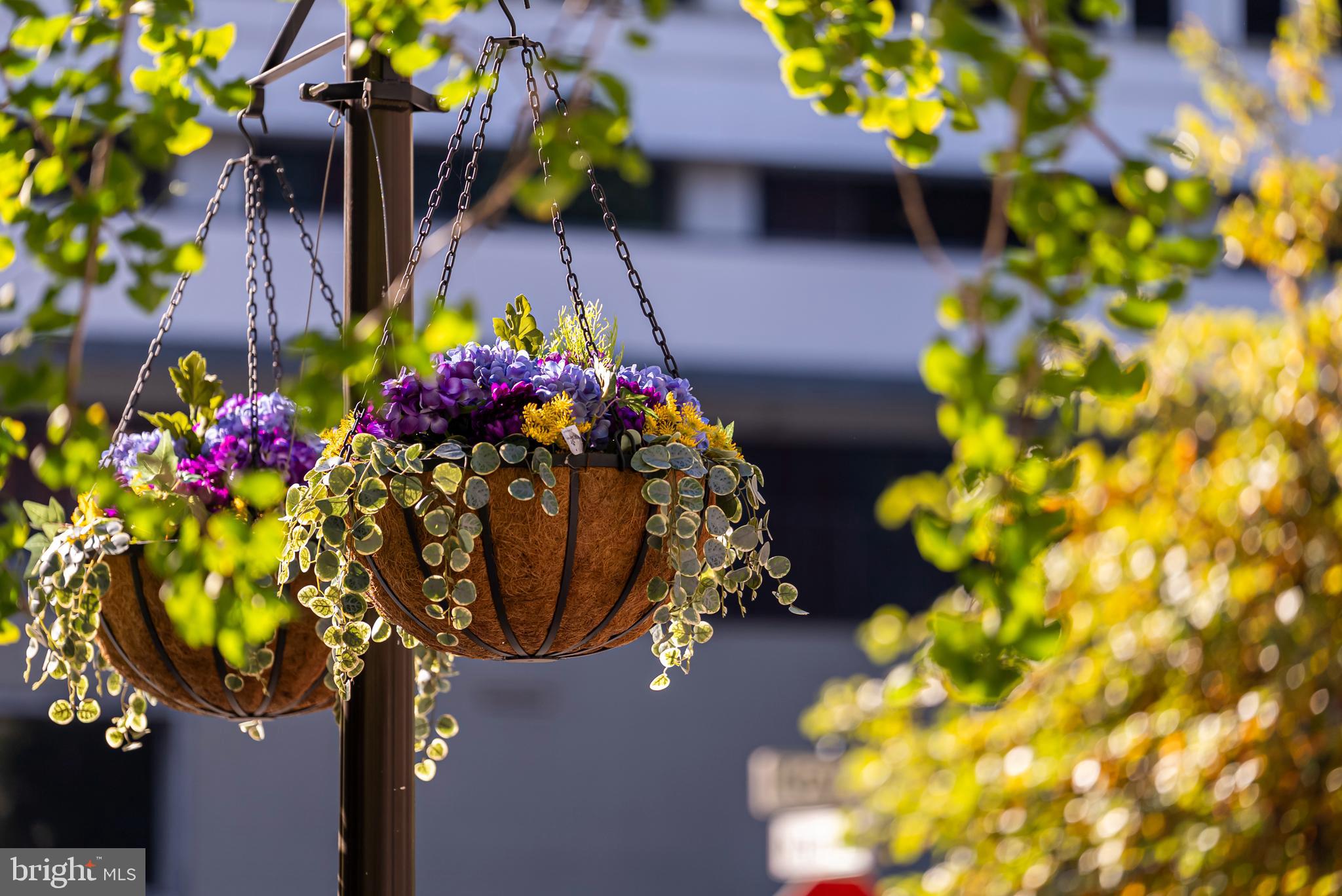 TURNBERRY TOWER - Residential