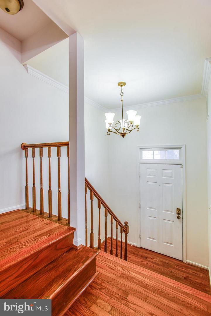 HOLLAND TOWNE - Residential Lease