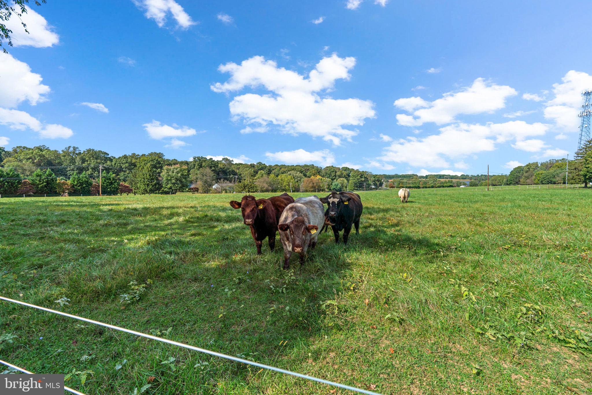 THE ESTATES AT SAND HILL - Residential