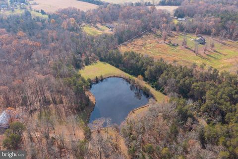 14 ACRES SHENANDOAH PATH CATLETT VA 20119