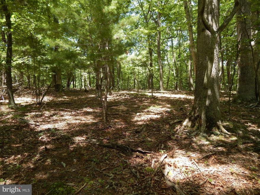 Rare find!  Larger Lot in Cacapon South S/D w/ 3 Acres, allowing for a well & septic to be installed! Situated across the street from Cacapon Resort State Park, offering  6115 acres of outdoor activities, including golf, lake for fishing, swimming, paddle boats & canoeing, horseback riding, skeet shooting, playground, tennis, basketball and volleyball courts, + lodge with a restaurant.