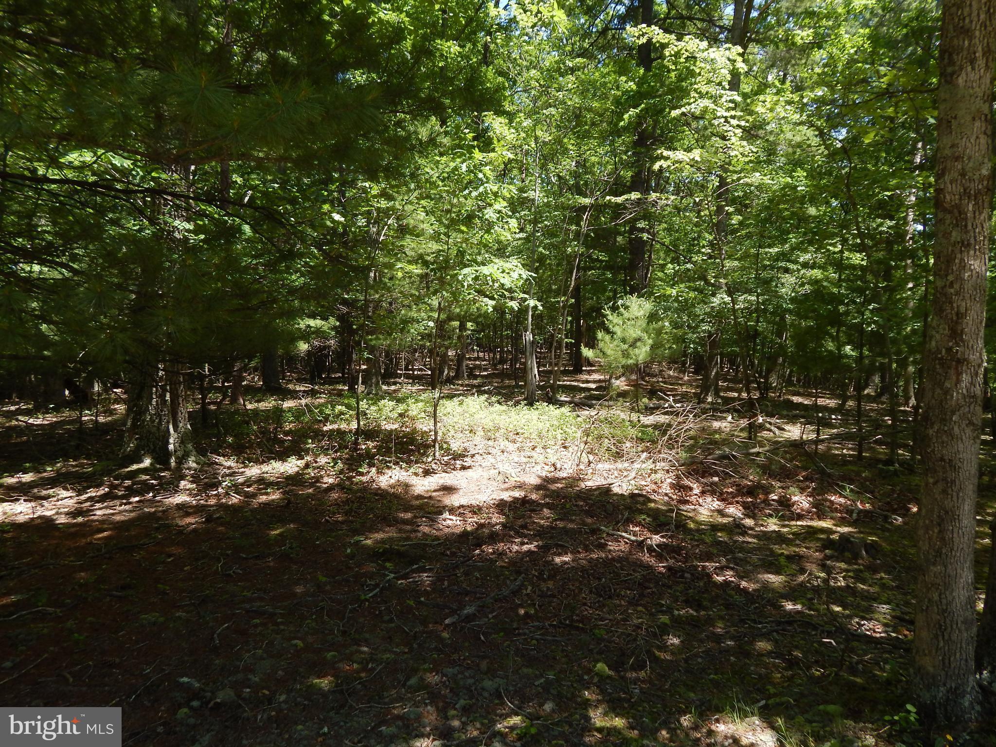 CACAPON SOUTH - Land