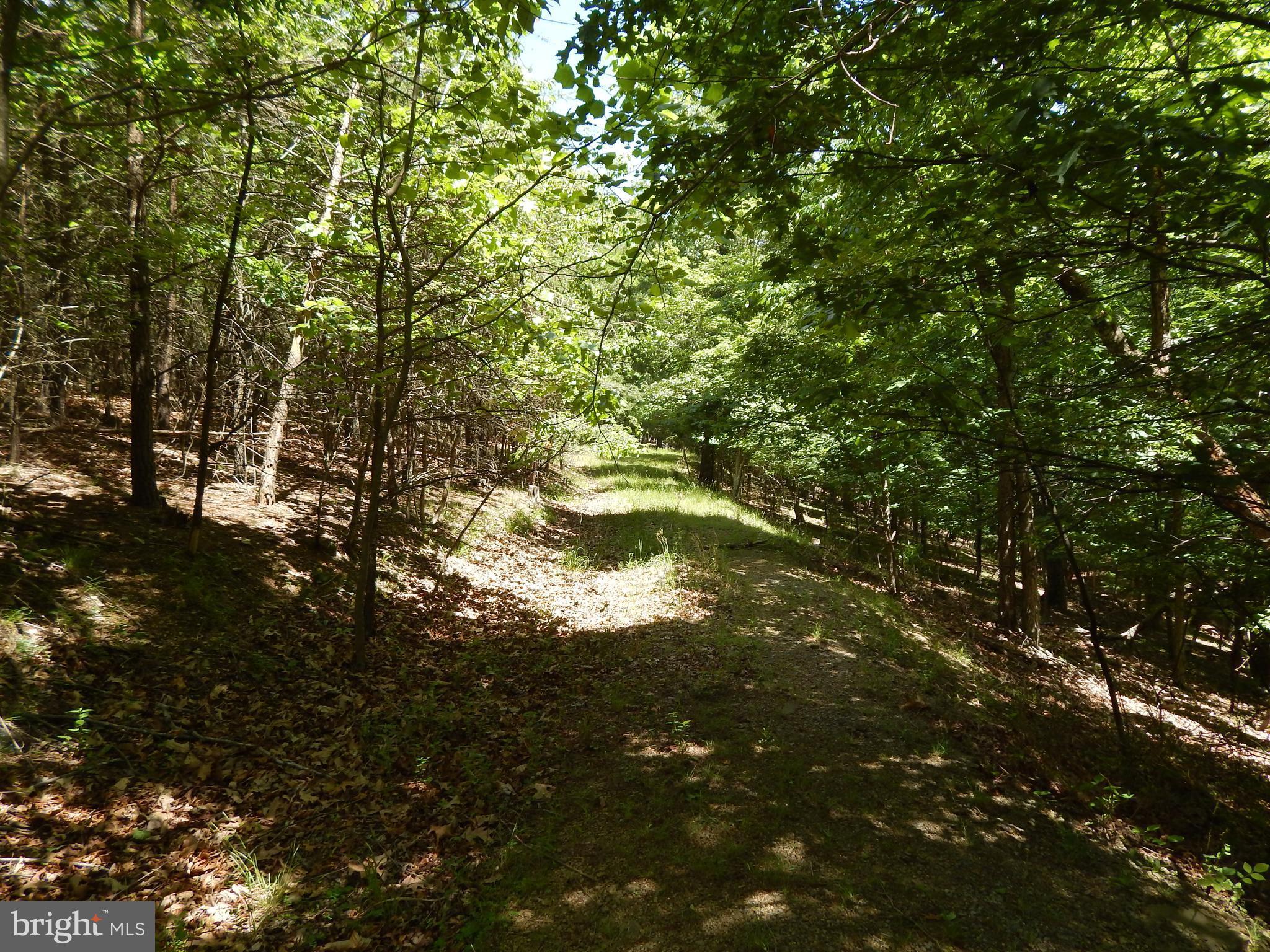 CACAPON SOUTH - Land