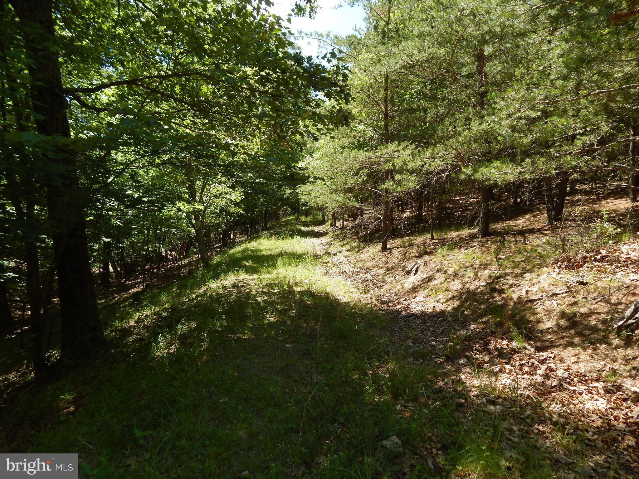 CACAPON SOUTH - Land