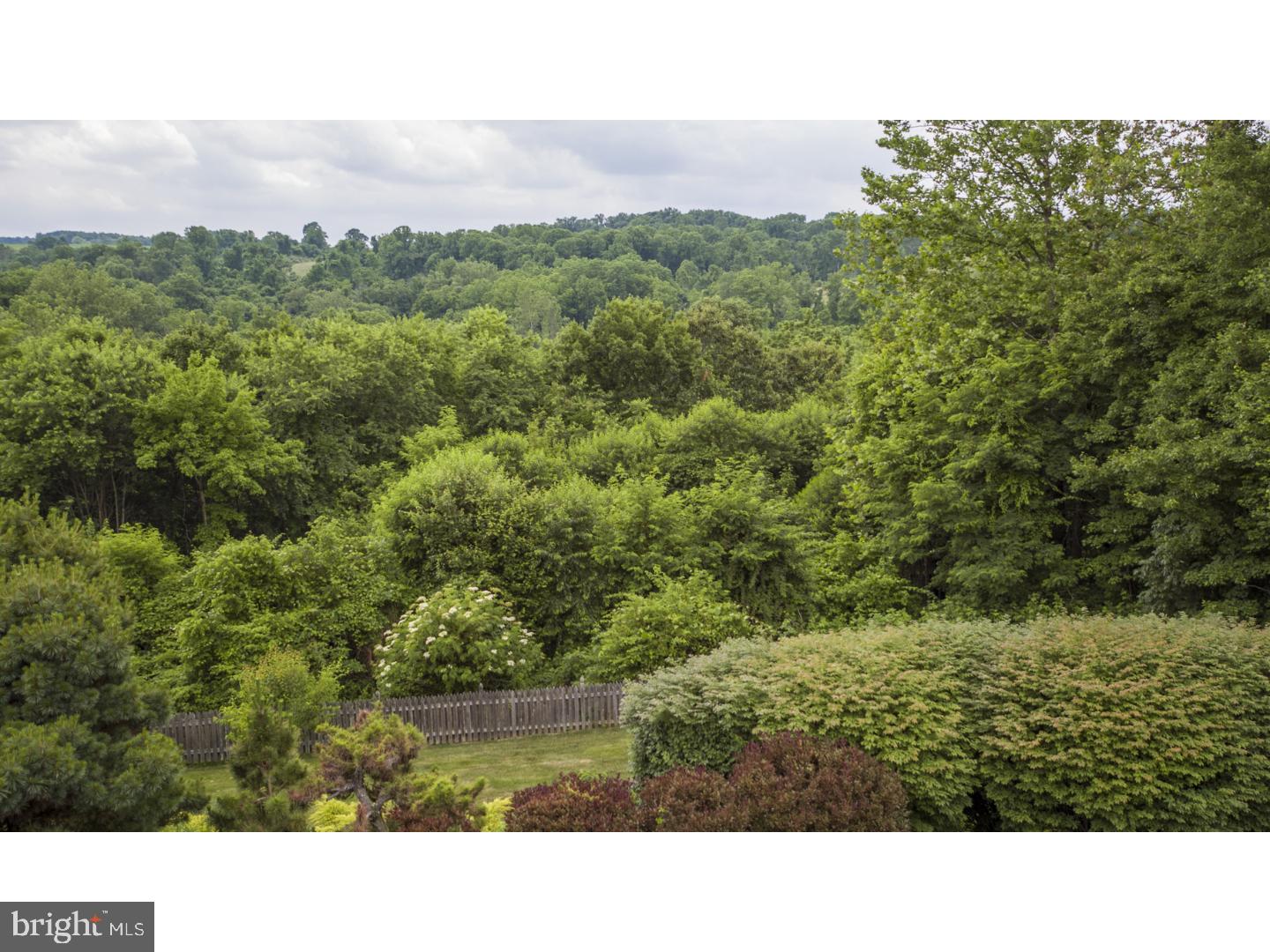 CHESTNUT HOLLOW - Residential