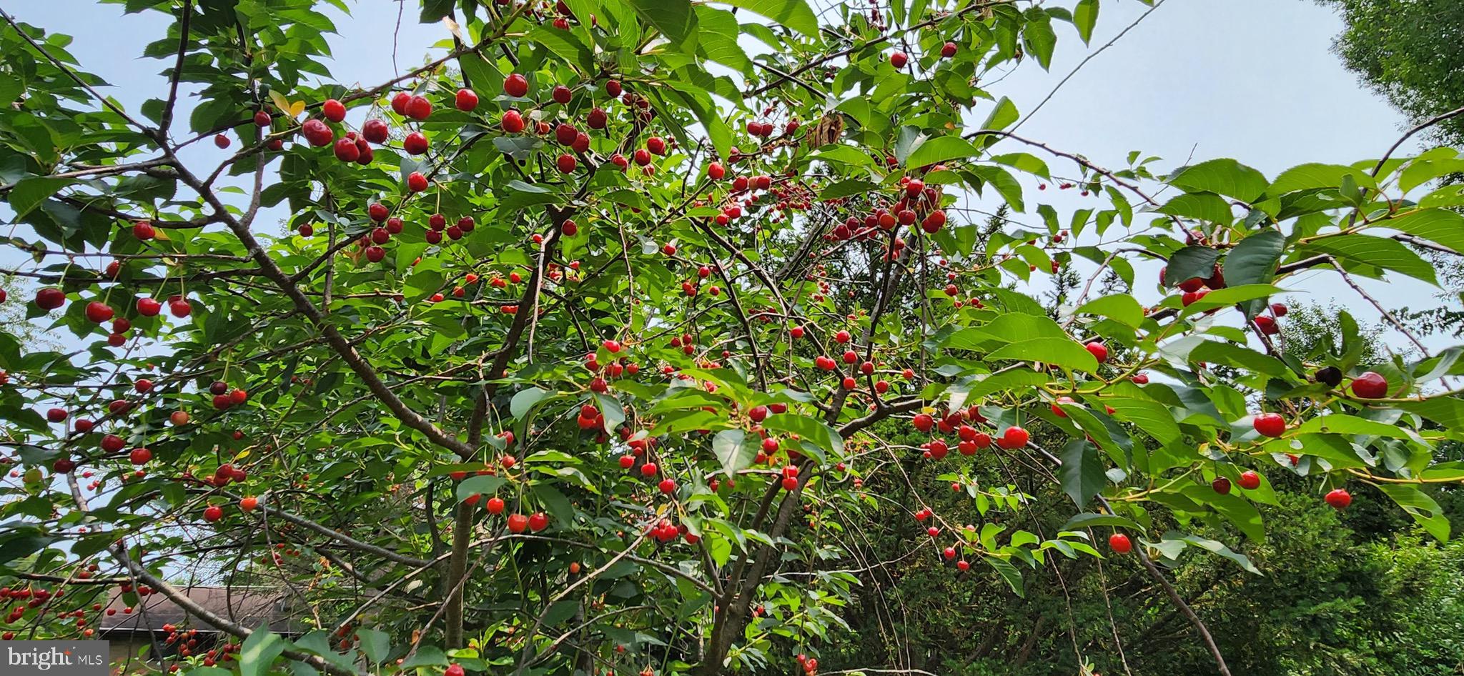 GREEN ACRES - Residential