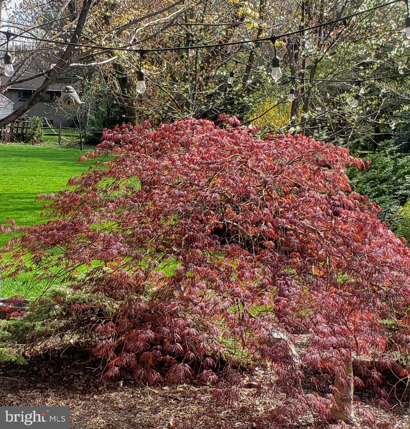 GREEN ACRES - Residential