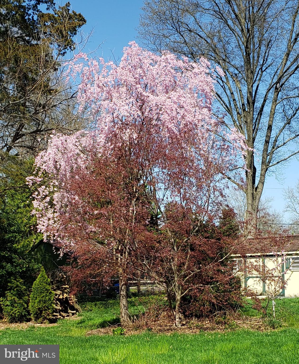 GREEN ACRES - Residential