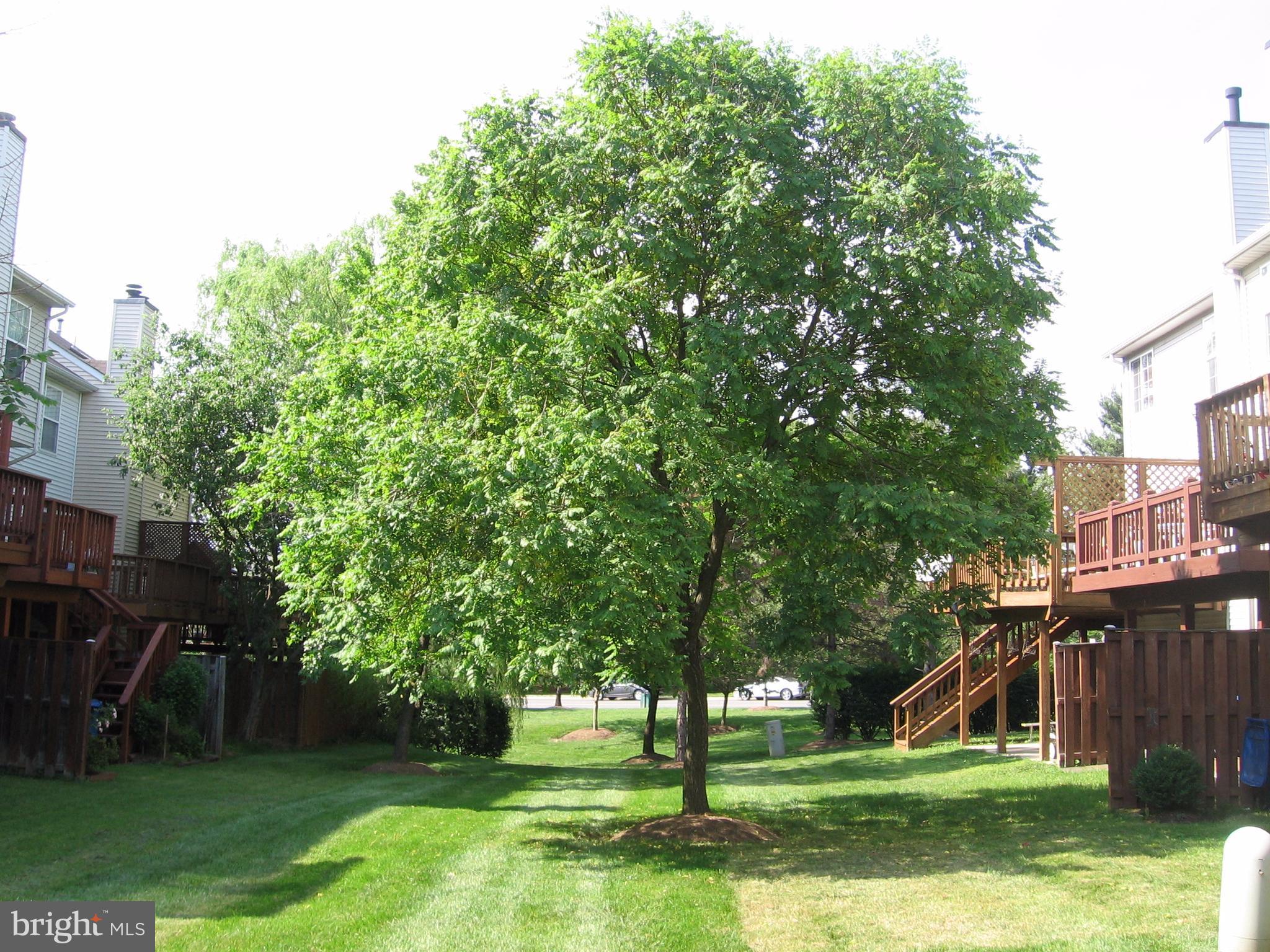 ENGLEWOOD MEWS - Residential