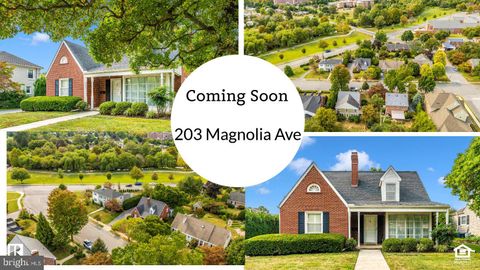 203 MAGNOLIA AVENUE FREDERICK MD 21701