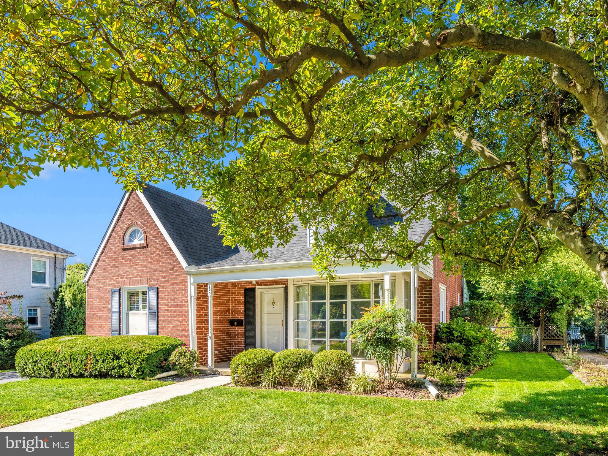 203 MAGNOLIA AVENUE