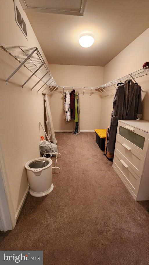 COUNTRYSIDE - Residential